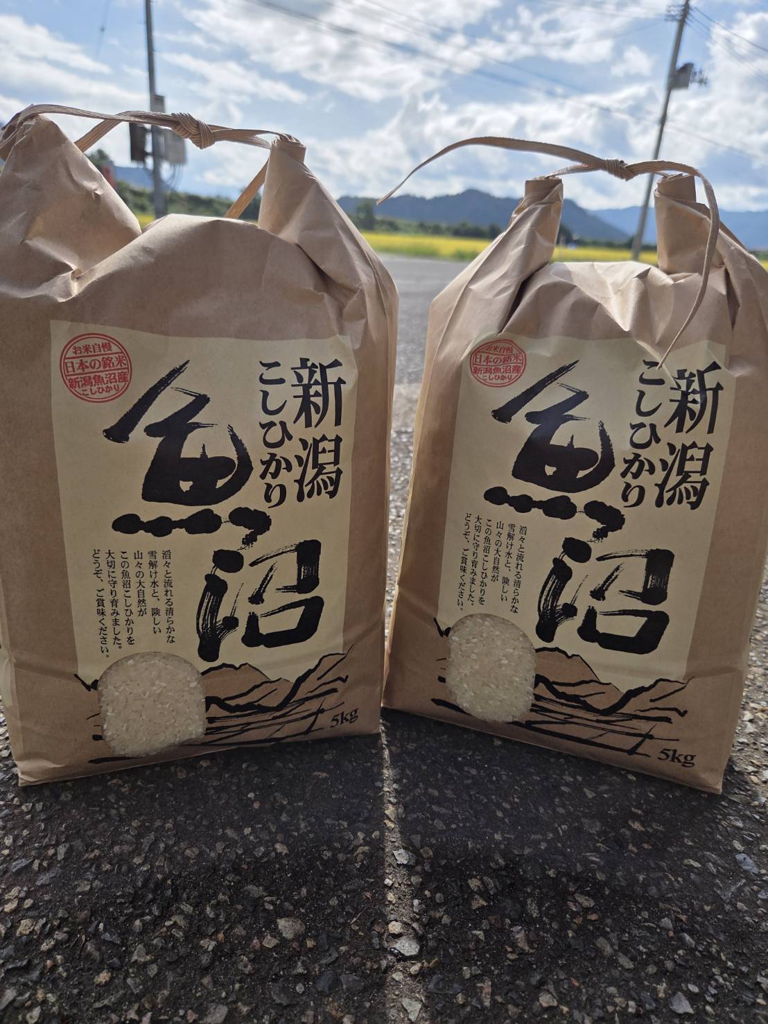 5キロ