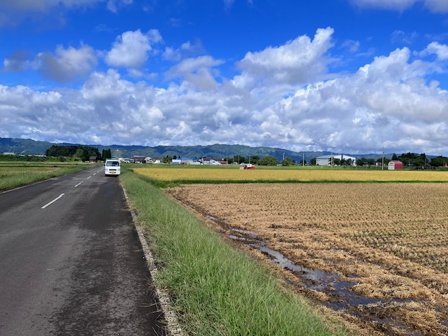 米の画像4
